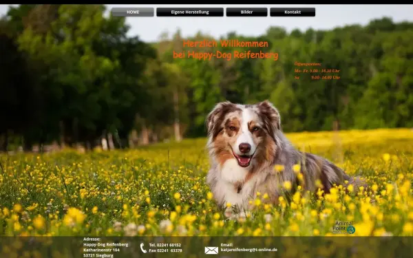 www.happy-dog-reifenberg.de