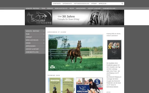 deutschesreitpony.de