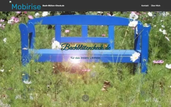 bach-blueten-check.de