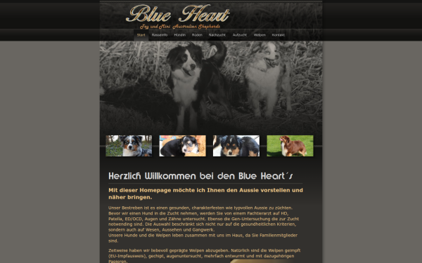 blue-heart-aussie.de