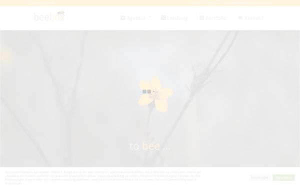 www.beebox.de