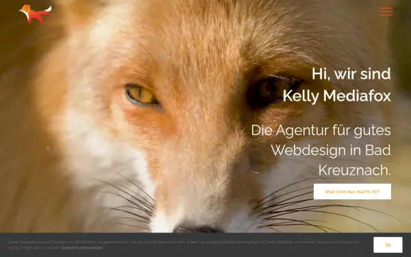 kelly-mediafox.de