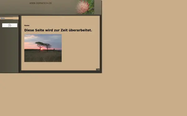 dernesch.de