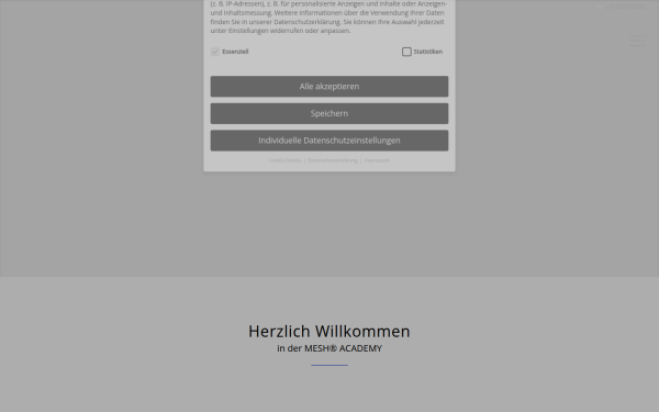 mesh-academy.de