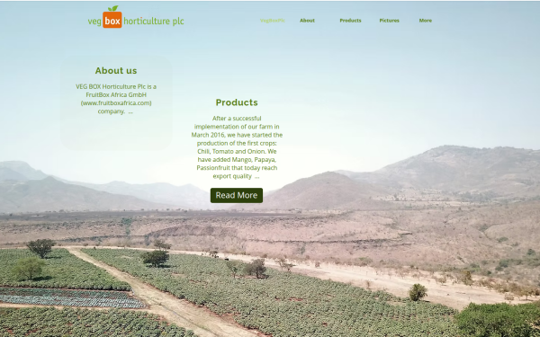 www.vegboxplc.com