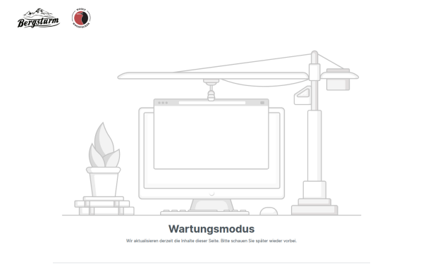 bergsturm.shop