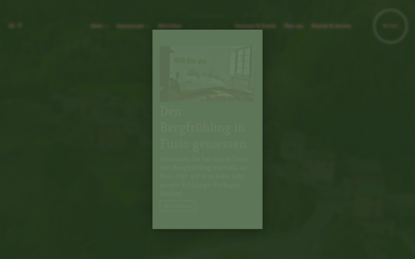 hotelfusio.ch