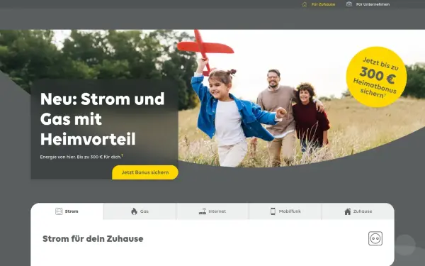 www.ewe.de