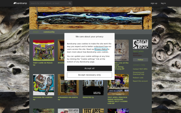testapes.bandcamp.com